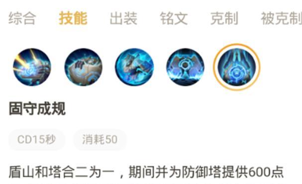 国际服盾山出装攻略最新分享（全面分析盾山出装攻略，助你稳定升级夺得胜利）