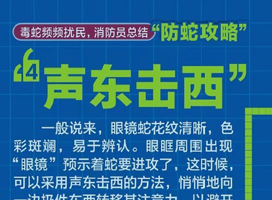 《黑豹出装攻略——致胜之道一网打尽》（最新版出装攻略，助您成为黑豹巅峰玩家！）