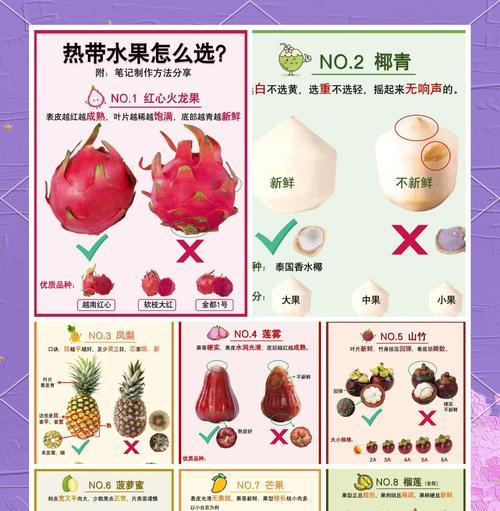 《畅玩水果手游攻略，收获高分无压力》（水果游戏攻略详解，让你称霸排行榜）