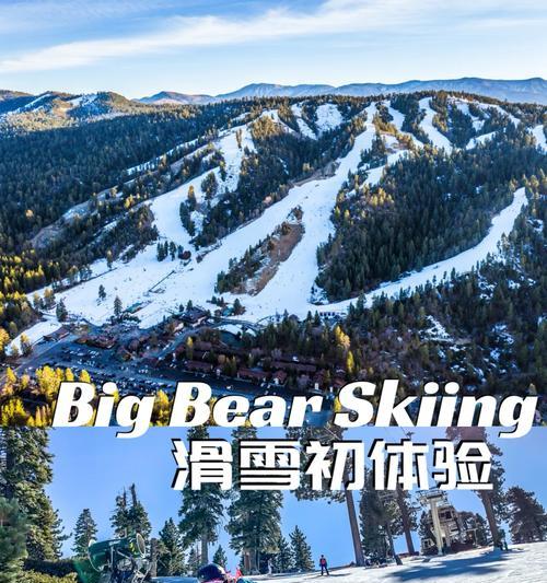 《探索大熊航空旅行游戏攻略，畅享最佳旅程》（发掘游戏攻略秘籍，成为旅行达人）