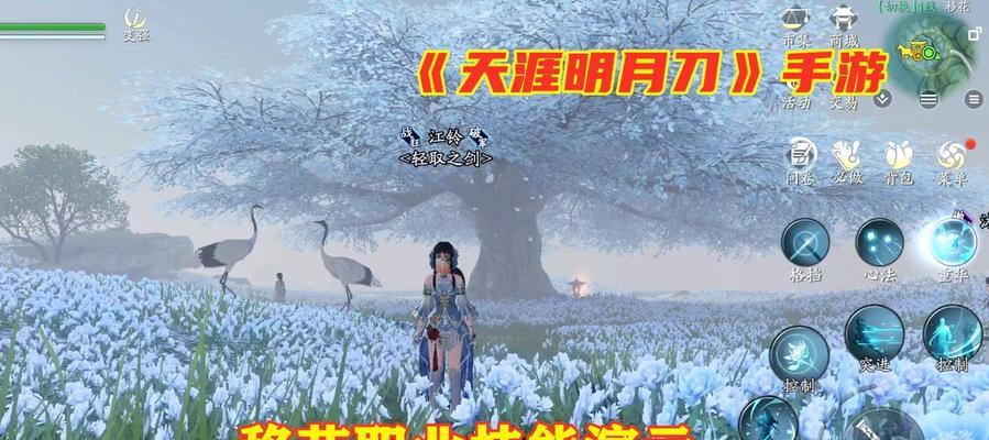 天刀移花出装攻略（打造无敌输出，关键是装备选择！）