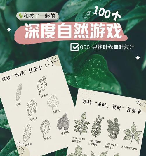 深度治愈游戏攻略（如何通过游戏找回内心的平静与愉悦）