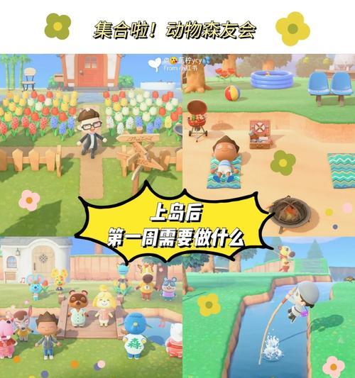 改造动物人游戏攻略（掌握技能、挑战敌人、成就超凡力量！）