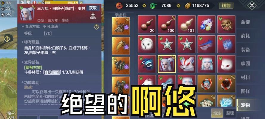 《以你会养宠物吗》游戏攻略（发现宠物养育的乐趣，成为最好的宠物主人！）